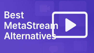 MetaStream Alternative