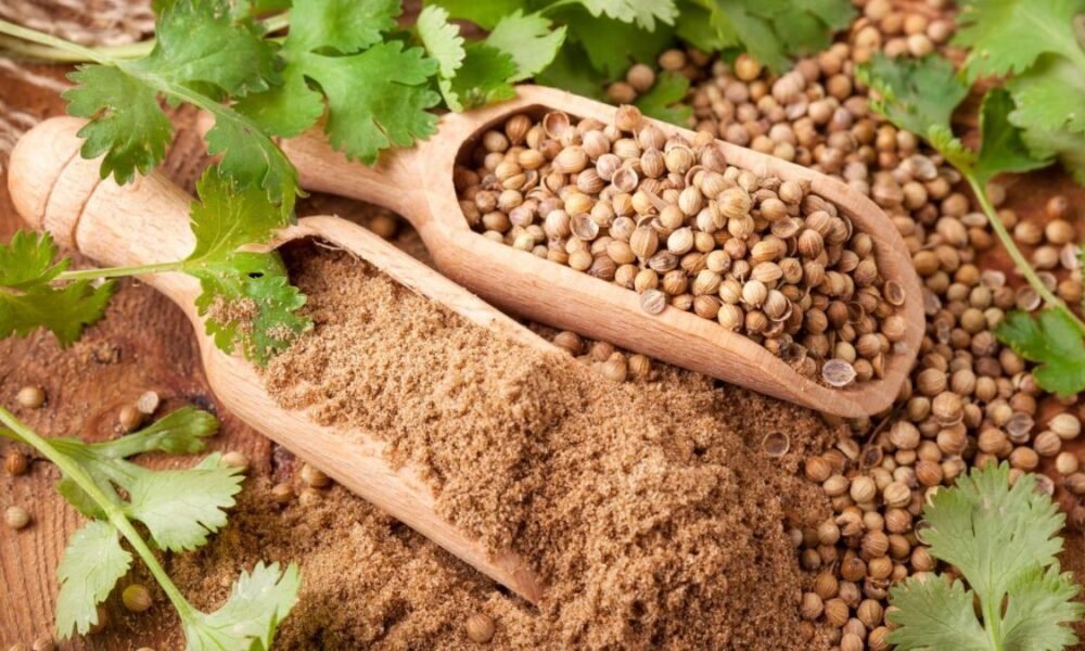 coriander seeds